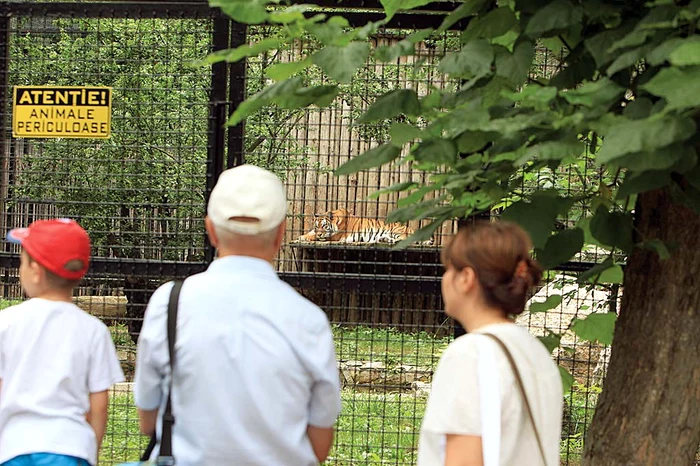 
    2014: Anul trecut, la jumătatea lunii noiembrie, dădea prima ninsoare  