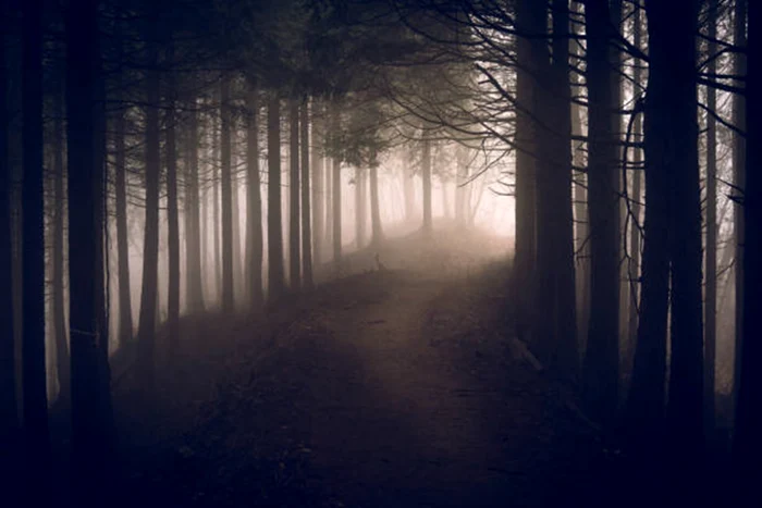 Animalul a fost descoperit de curând / foto: arhiva