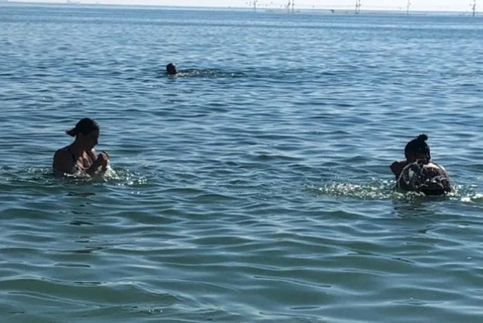 Claudia Nechita si Cristina Cosma se antrenează și în apă