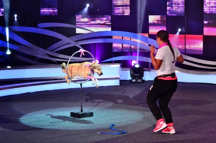 ham talent foto antena 1