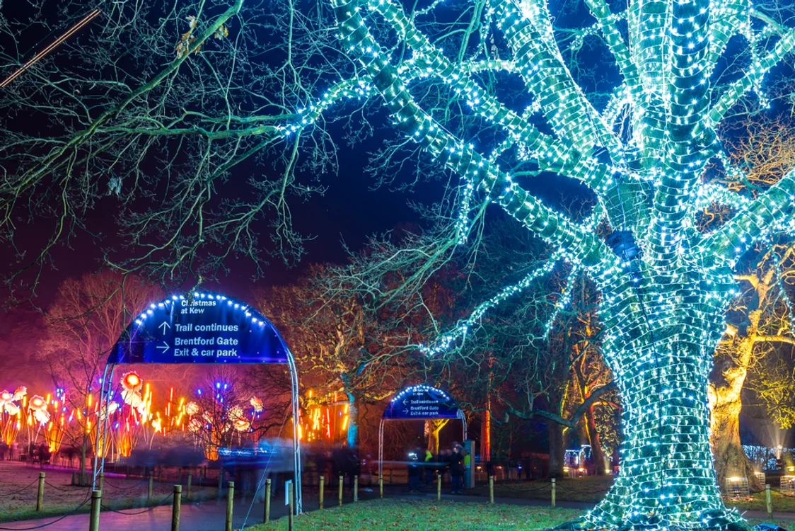 Pomi din Grădina Botanică Kew decorați cu luminițe
