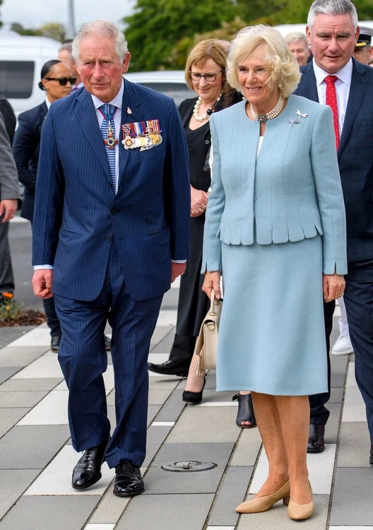 2 profimedia 0483446338 jpg jpeg