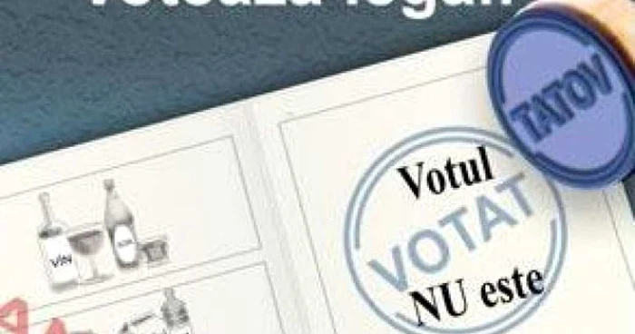 Alegerile vor avea loc pe data de 9 decembrie / FOTO Adevărul