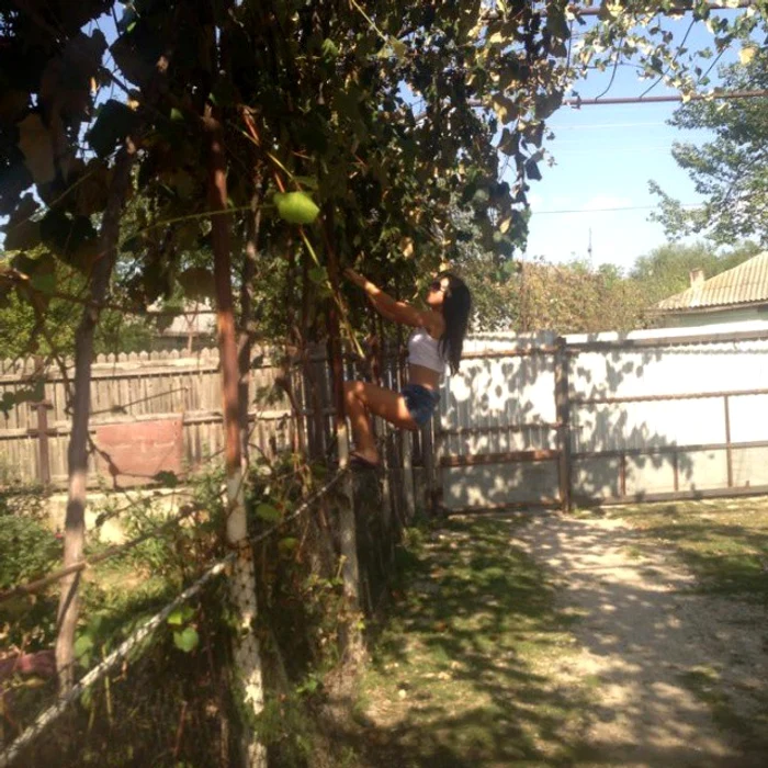 Cruduţa nu a folosit o scară ca să ajungă la strugurii râvniţi