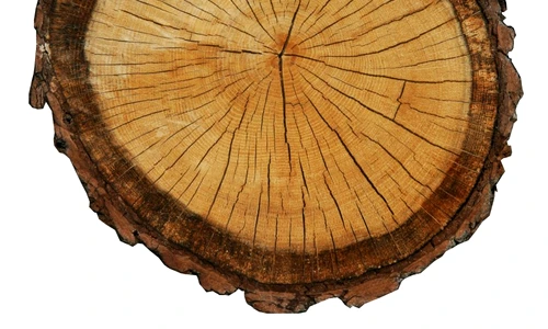 1 67020 original jpg jpeg