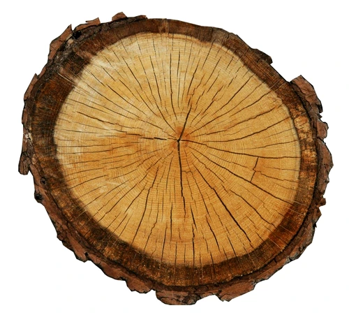 1 67020 original jpg jpeg