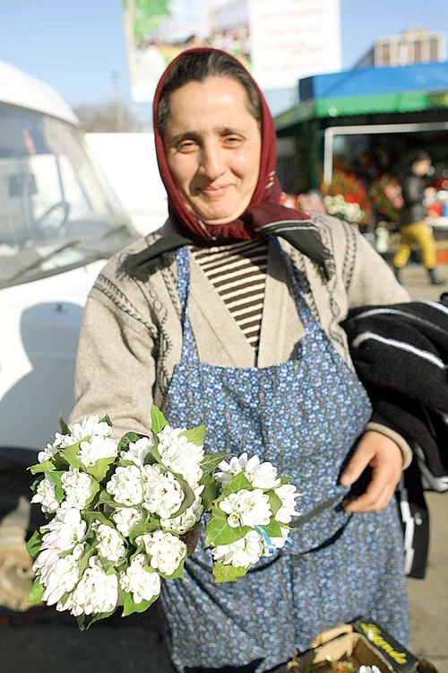 
    Ghioceii vă aşteaptă deja la florărese  