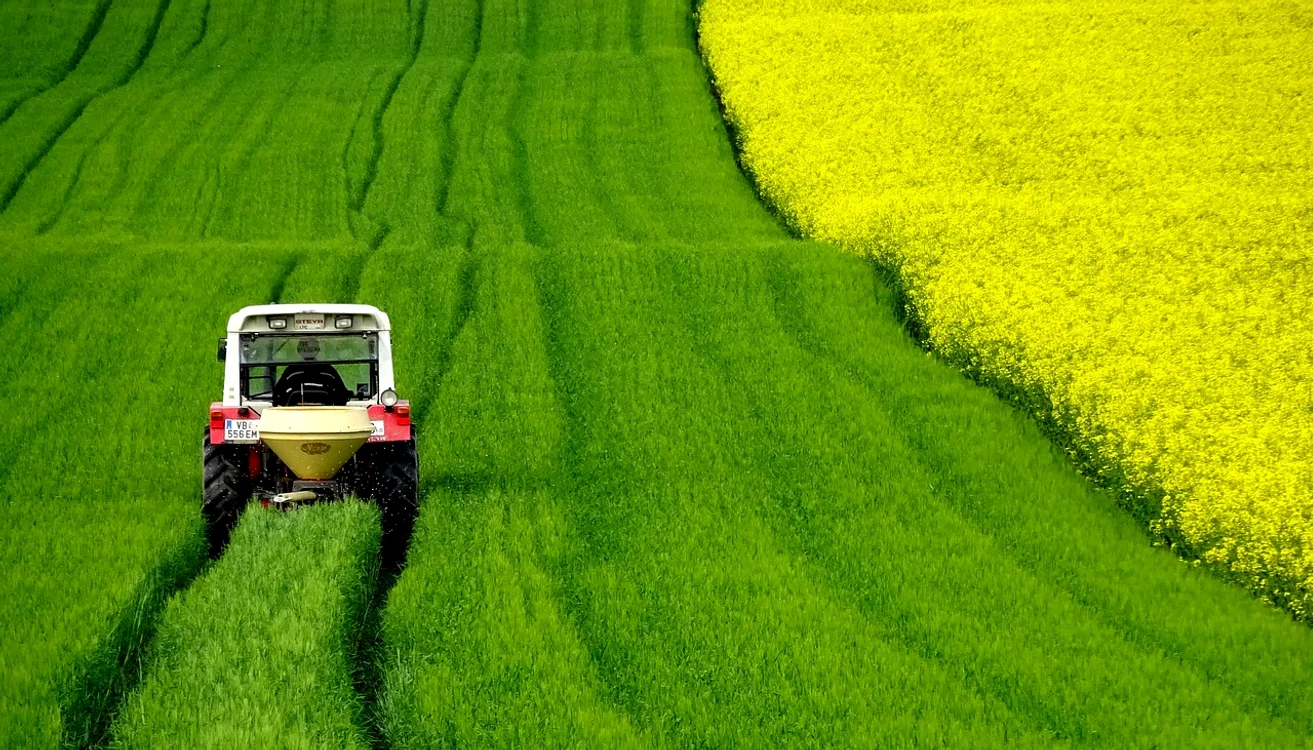 Cel mai mare preț mediu/ha pentru terenul agricol a depășit, în 2024, 200.000 euro FOTo: Pixabay
