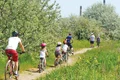 11 special 2 894515151 jpeg
