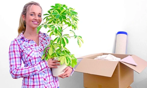 1 69477 original jpg jpeg