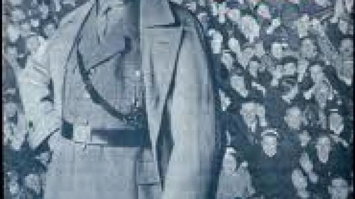 Referendumul şi dictatorii jpeg
