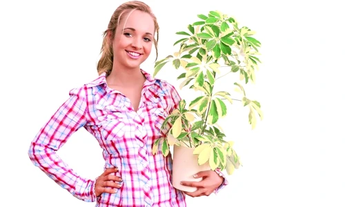 1 49350 original jpg jpeg