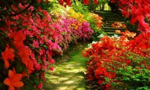 1 70301 original jpg jpeg