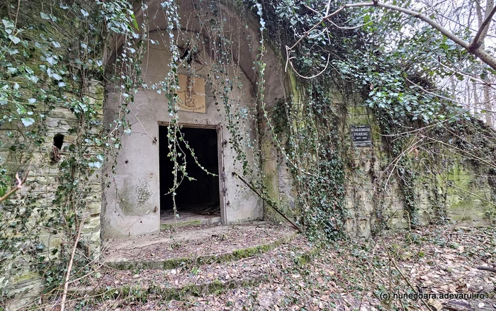 Cripta familiei Lazăr. Foto: Daniel Guță. ADEVĂRUL