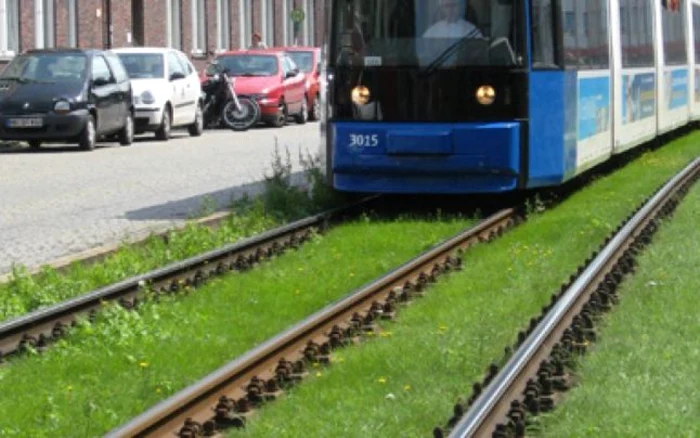 Pe linia de tramvai va fi spaţiu verde