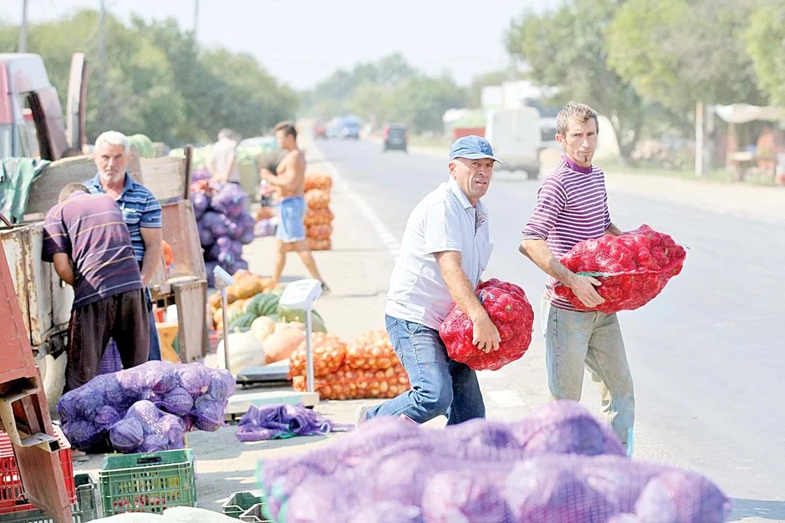 Gogoşarii pleacă de la Lunguleţu  cu 2,5 lei şi ajung în Bucureşti  la 4,5 lei, iar ceapa sare de la  70 de bani/kg la peste 2 lei/kg