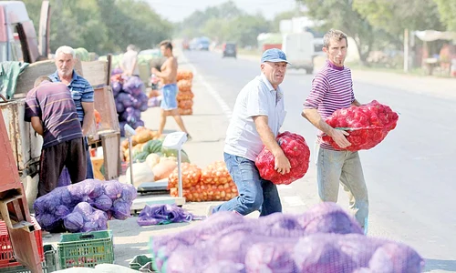 Gogoşarii pleacă de la Lunguleţu  cu 2,5 lei şi ajung în Bucureşti  la 4,5 lei, iar ceapa sare de la  70 de bani/kg la peste 2 lei/kg jpeg
