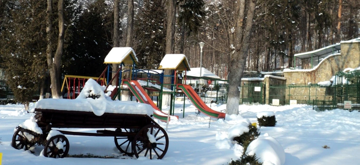 Grădina zoo din Piatra Neamţ va fi desfiinţată FOTO Dan Sofronia