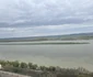 A înverzit insula din mijlocul Dunării