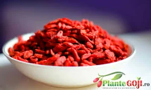 plantegoji rojpg  0 jpeg