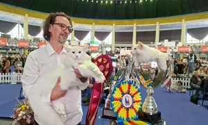 Wild Forests Nordri Quasar jpg