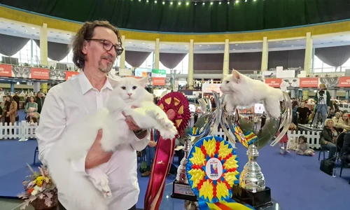 Wild Forests Nordri Quasar jpg