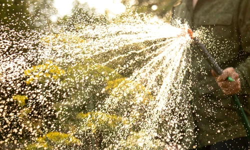 shutterstock 2511626181 jpg