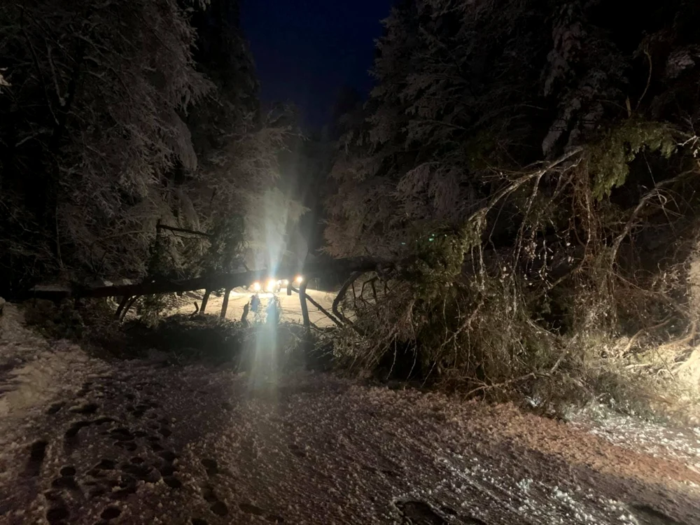 Drumul spre Păltiniş - Sibiu blocat de un copac căzut pe carosabil Foto Info trafic Sibiu - credit Ioana Mihaella