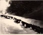 Căi ferate forestiere din Valea Jiului Anul 1956 Foto Richard Marschalko (4) jpg