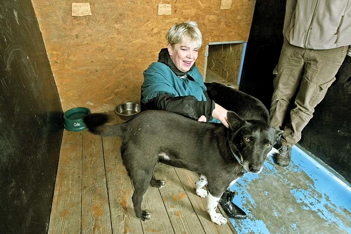 
    Silvia Dumitrescu, alături de căţeii Michael  şi Janet JacksonFoto: Dorin Constanda  