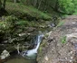 Drumul spre Râpa cu Galbeni Foto Daniel Guță ADEVĂRUL (6) JPG