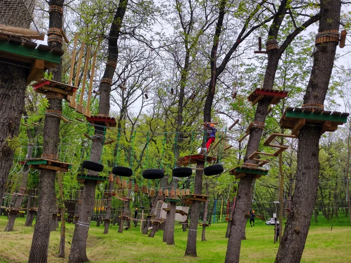 Parcul de Aventură este situat în pădurea Gârboavele FOTO: C.Mazilu