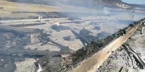 623c103b5163ec4271980032 jpg