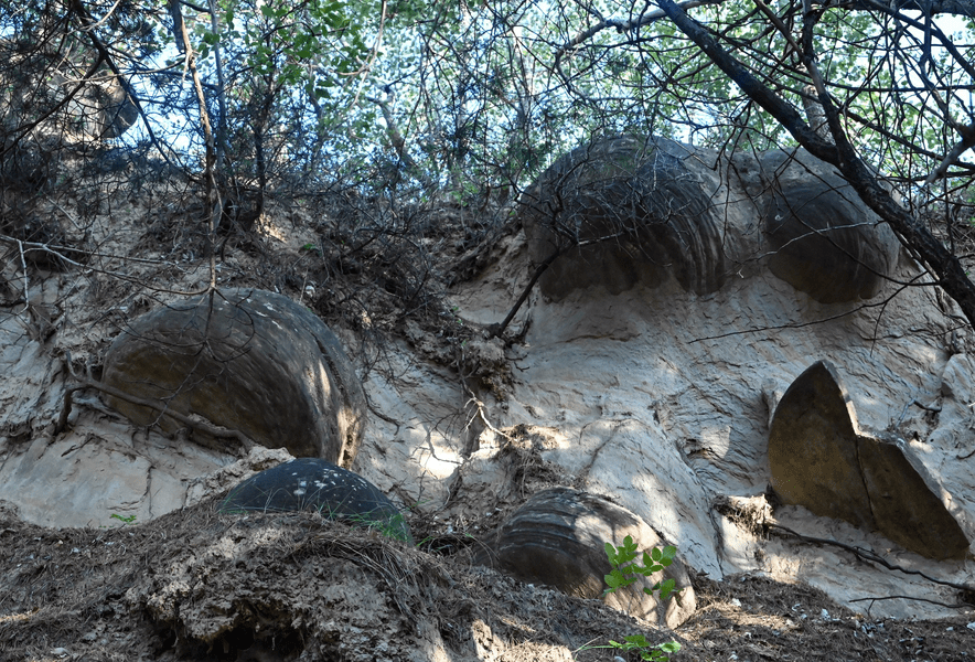 Unde se află Ciupercile de la Odăile, trovanții recent descoperiți de un grup de exploratori FOTO