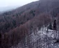 Fetele Albe Foto Daniel Guță ADEVĂRUL (7) JPG