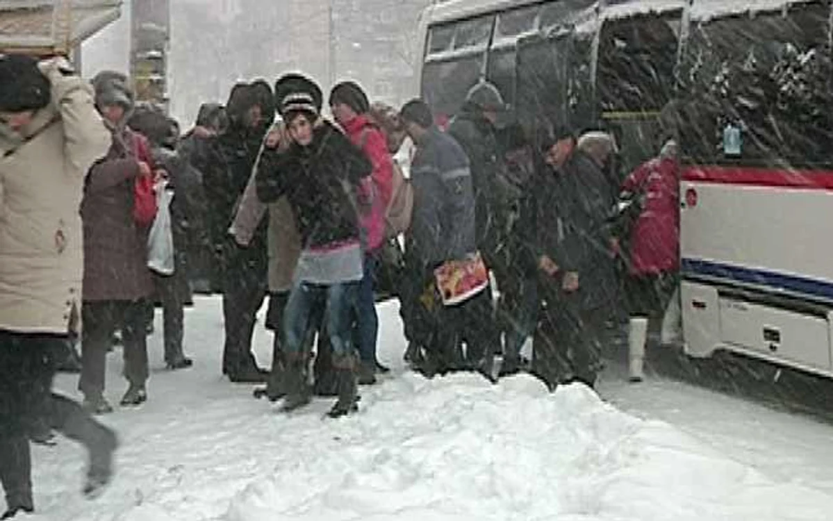 iarna braila