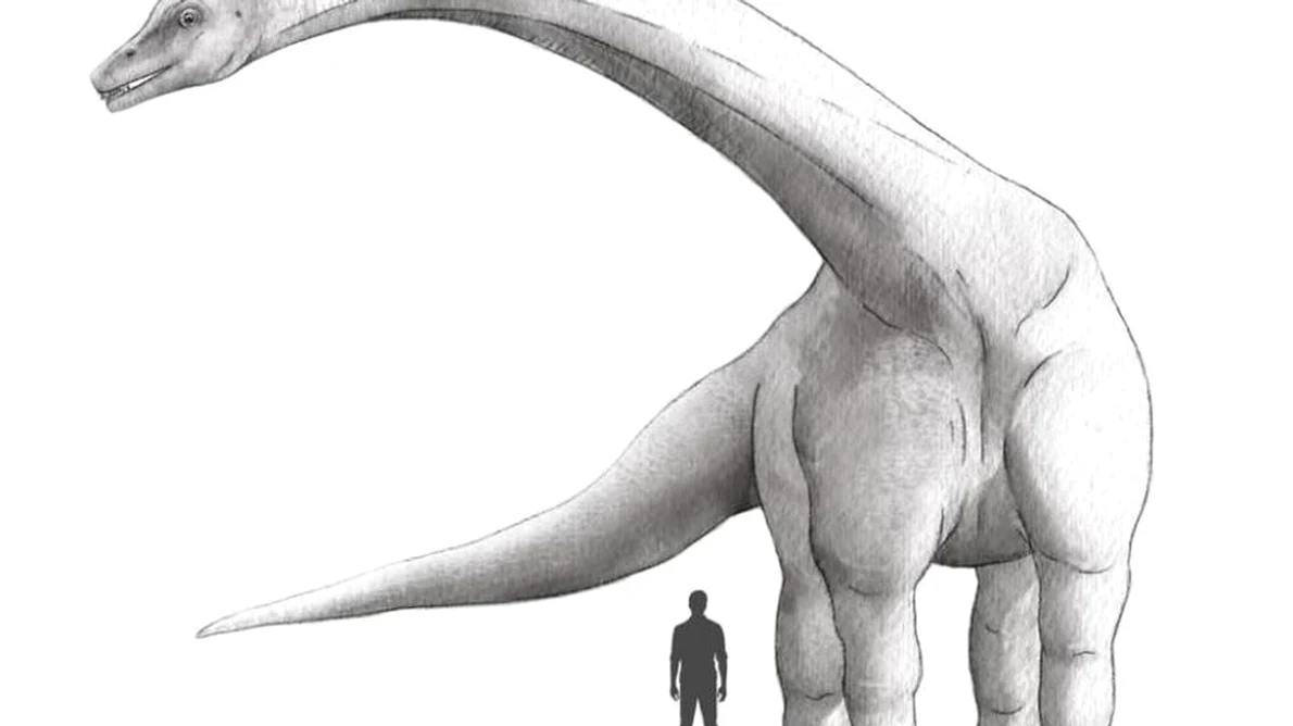 A fost descoperit cel mai mare dinozaur care a trăit vreodată: cântărea mai mult decât 10 elefanţi la un loc jpeg