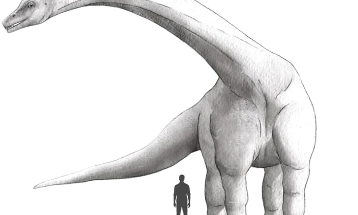 A fost descoperit cel mai mare dinozaur care a trăit vreodată: cântărea mai mult decât 10 elefanţi la un loc jpeg