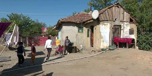 familii sarmane (1) png