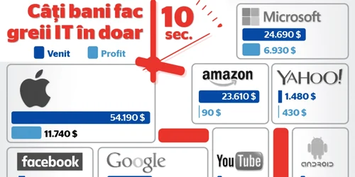 TOP venituri IT Infografie