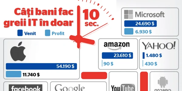 TOP venituri IT Infografie