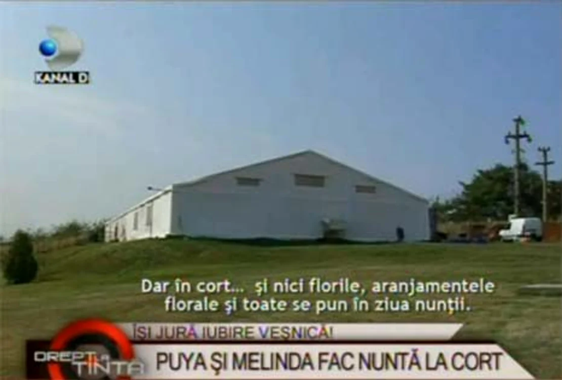 Puya