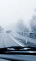 Conditii de ceata - ninsoare - zapada - polei- sofer- masina - vreme - meteo- FOTO Shutterstock 