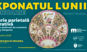 O farfurie de perete decorativă veche de peste un secol, exponatul lunii la Muzeul Țării Crișurilor