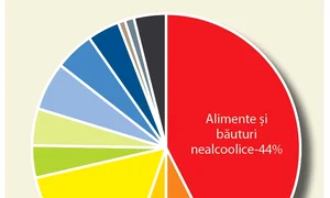 Ponderea celor mai importante categorii de produse  şi servicii în cheltuielile totale ale populaţiei jpeg