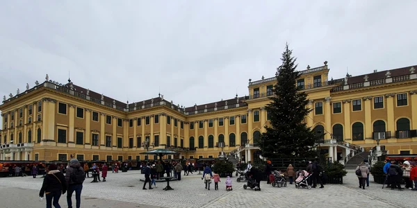 cluj viena pandemie. foto remus florescu 