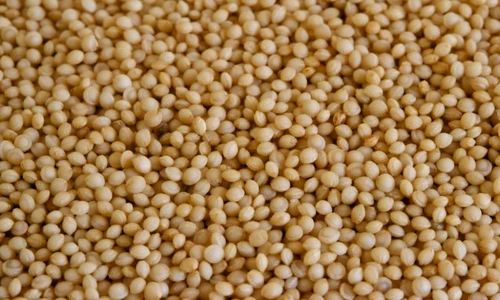 1 65162 original jpg jpeg