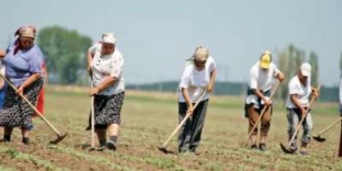 Bioagricultorii cer subvenţii mai mari