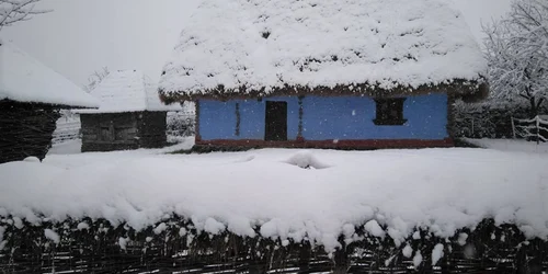 muzeul tarii oasului