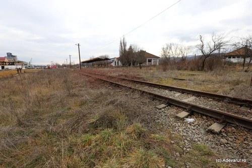 Orașul Ștei  Foto Daniel Guță ADEVĂRUL (7) JPG